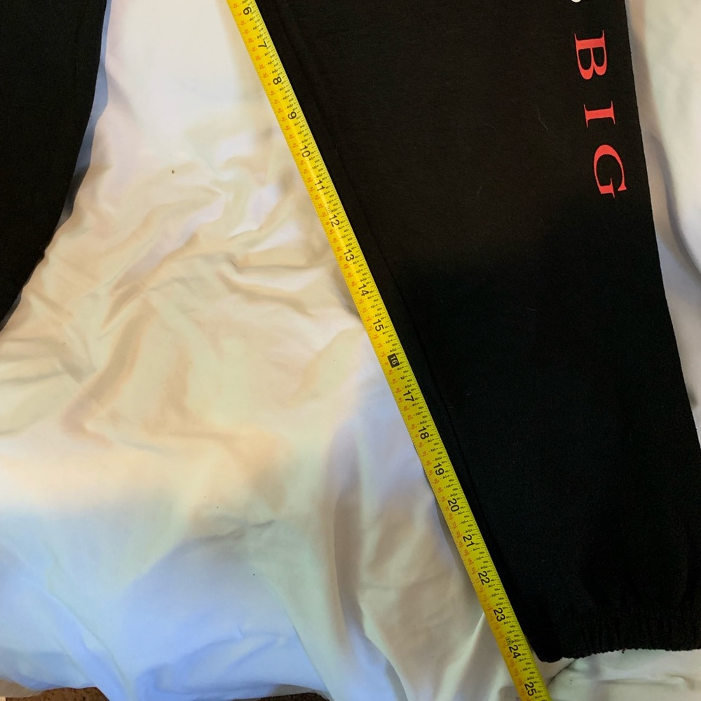 Nwot Notorious Big Sweatpants - image 8